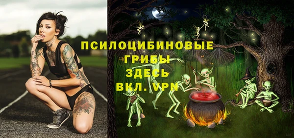 крисы Беломорск